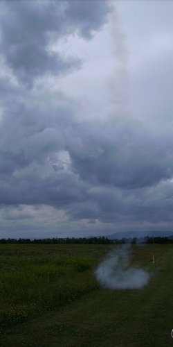 2013 Suche 29062013 Olivera